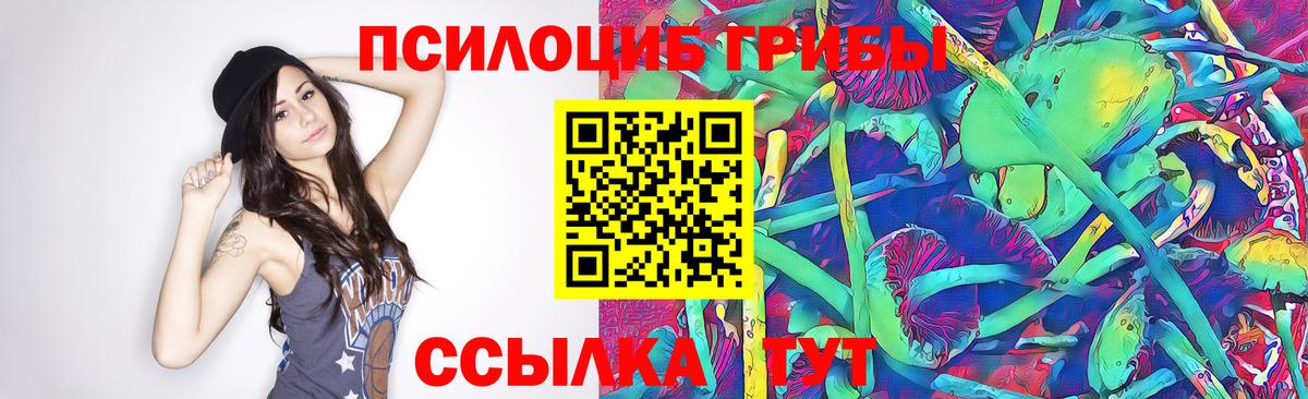 Псилоцибиновые грибы прущие грибы  Вход с VPN  Мариинск 
